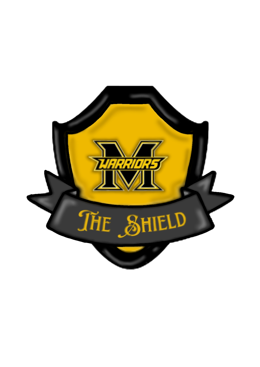 The Shield TV